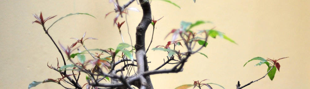 1win-download-official.site